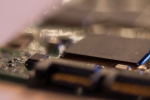 Macro Photo, single frame